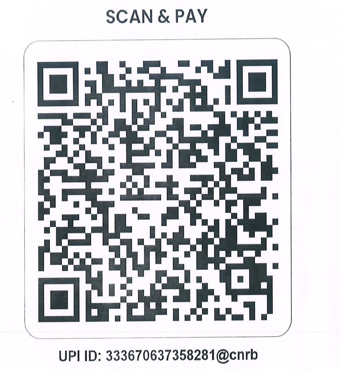 Scan & Pay — UPI QR Code