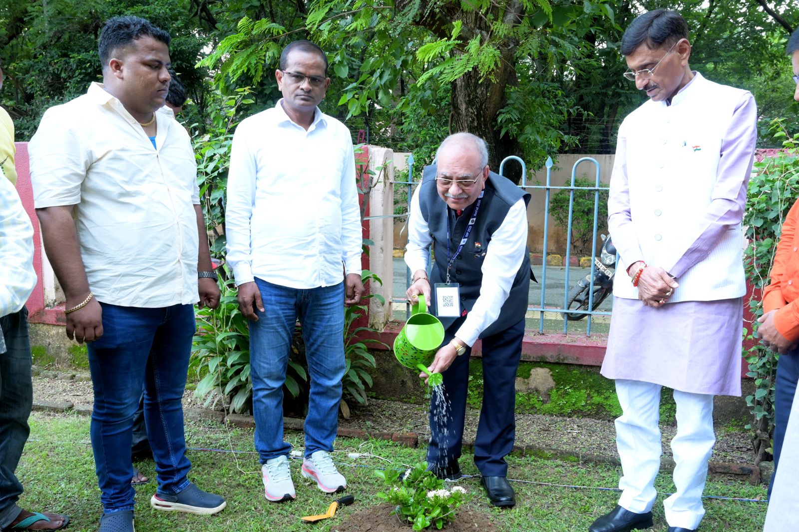 Tree plantation activity