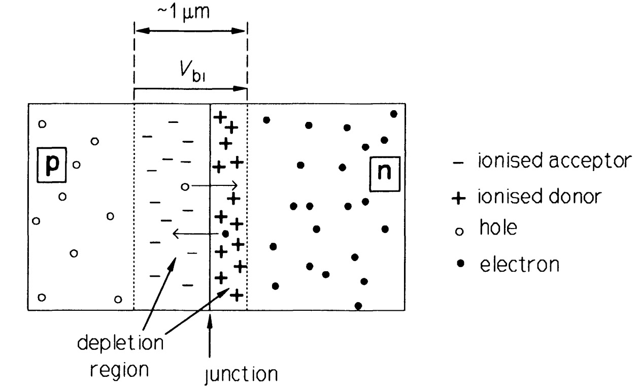 PN junction