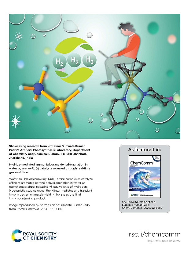 Opt wizard thumbnail 