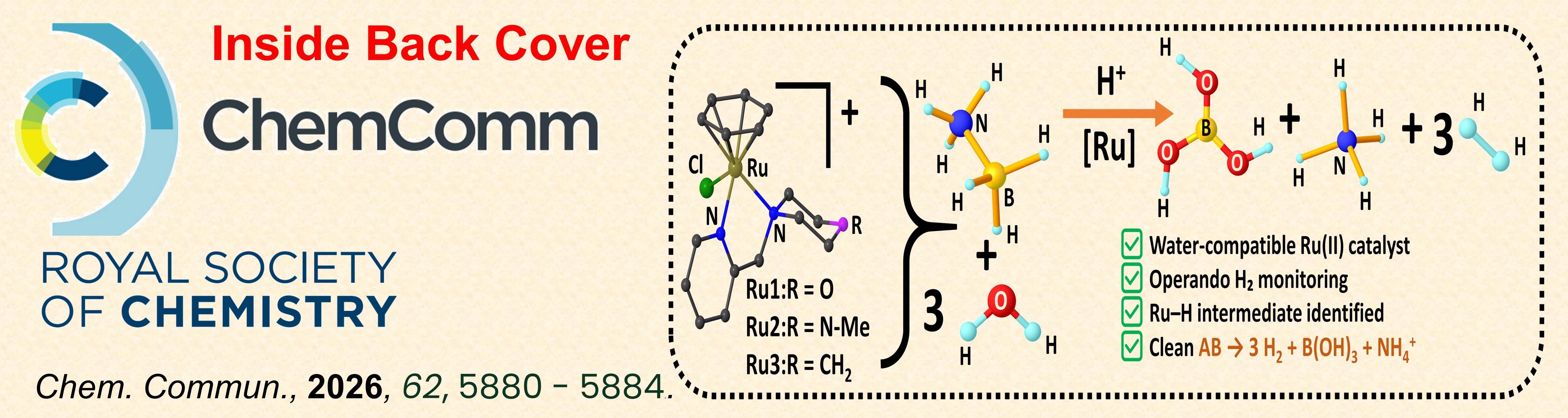 Opt wizard thumbnail